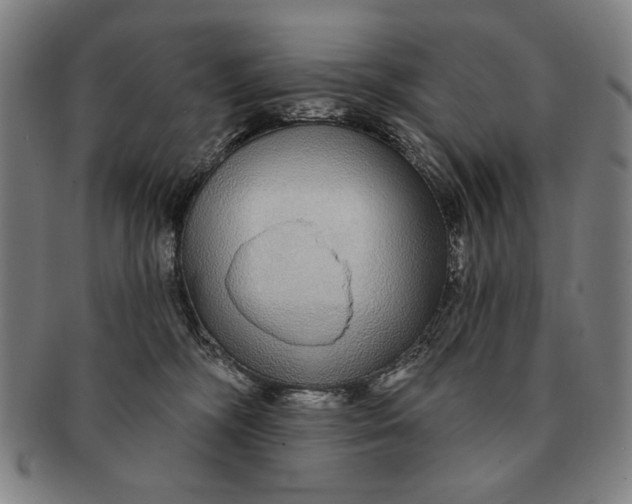 X0000091210326200708301434