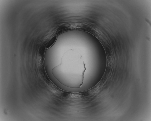 X0000091210327200708301434