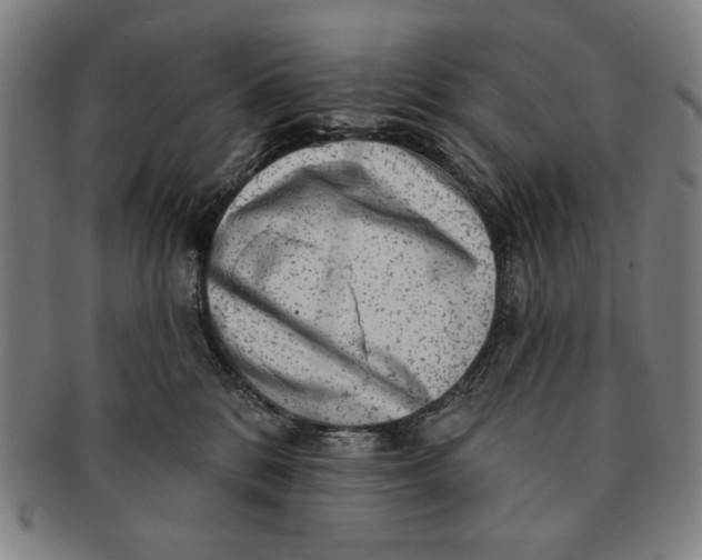 X0000091210328200708301434