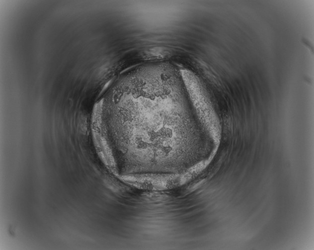 X0000091210331200708301434