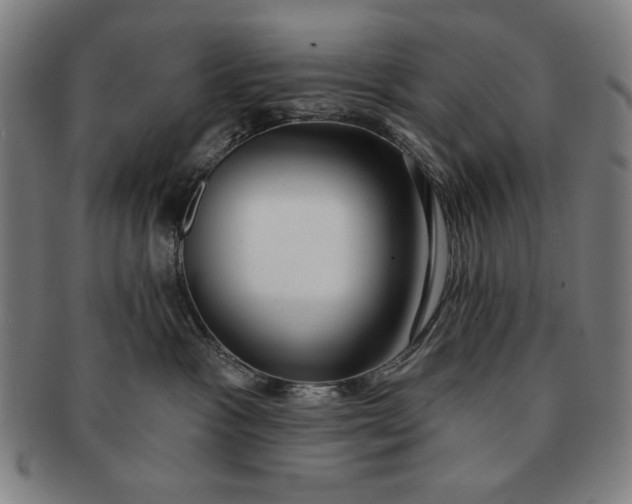 X0000091210333200708301434