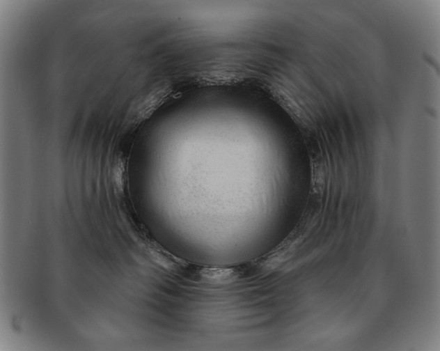 X0000091210334200708301434