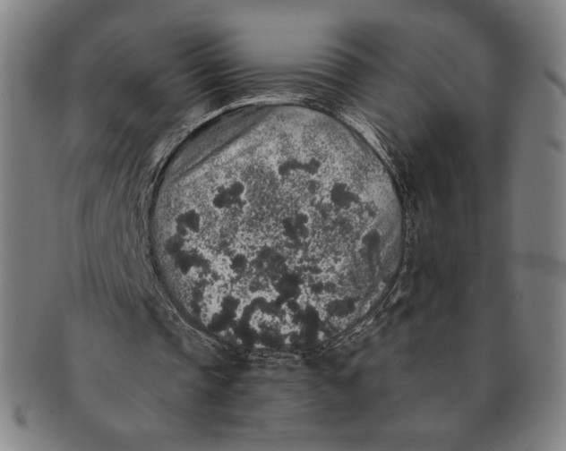 X0000091210337200708301433