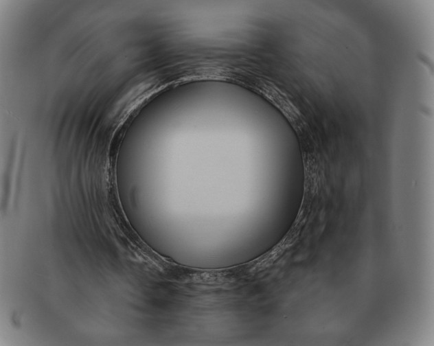 X0000091210338200708301433