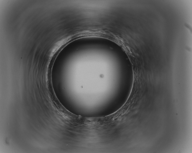 X0000091210340200708301433