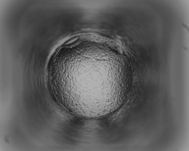 X0000091210342200708301433