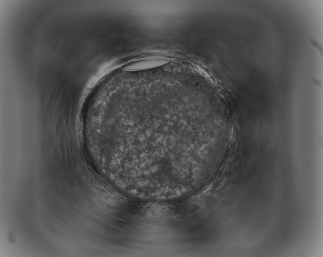 X0000091210343200708301433