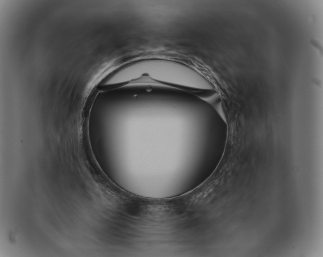 X0000091210344200708301433