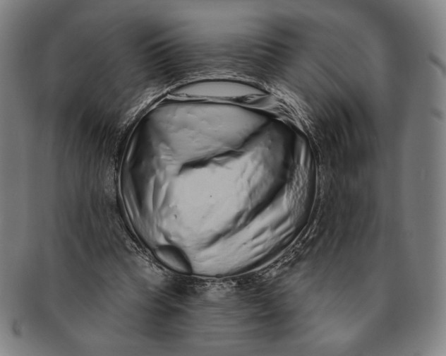 X0000091210345200708301433