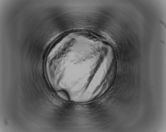 X0000091210346200708301433