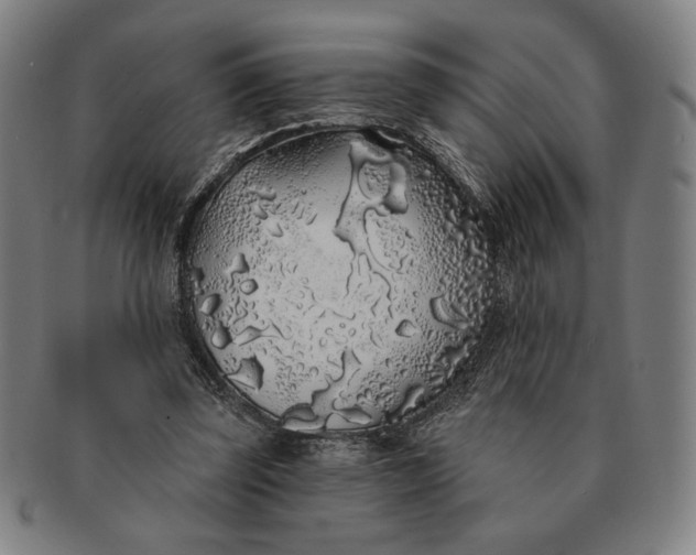 X0000091210347200708301433