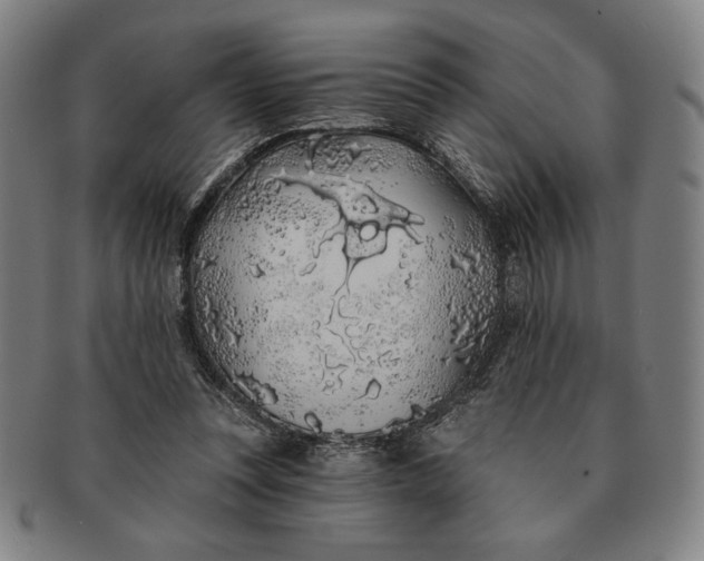 X0000091210351200708301433