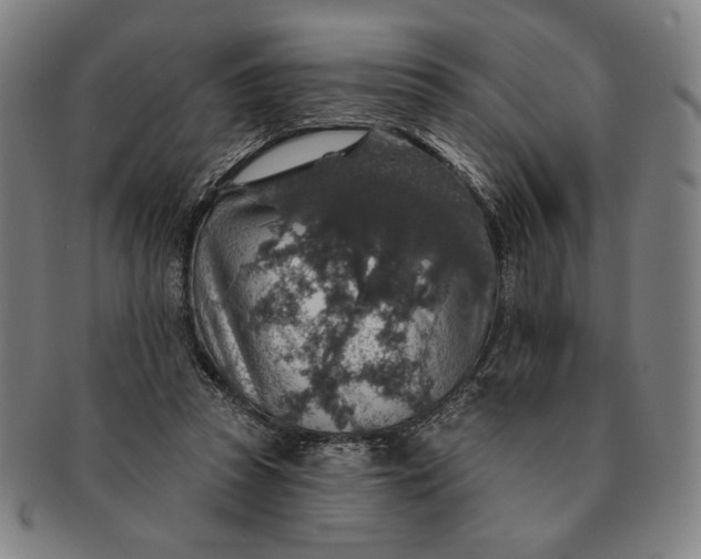 X0000091210353200708301433