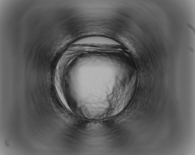 X0000091210354200708301433