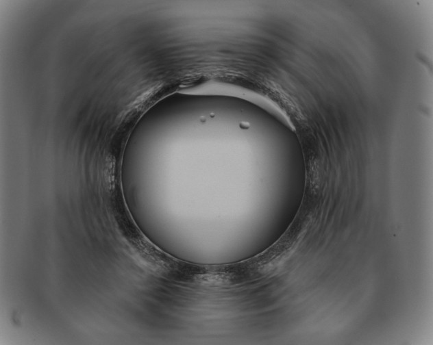 X0000091210356200708301433