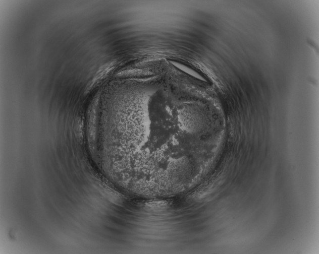 X0000091210357200708301433