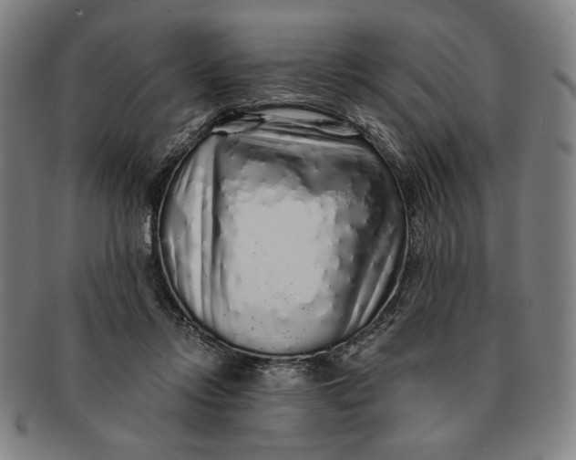 X0000091210358200708301433