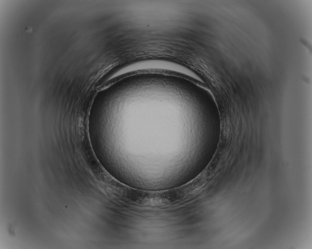 X0000091210360200708301433