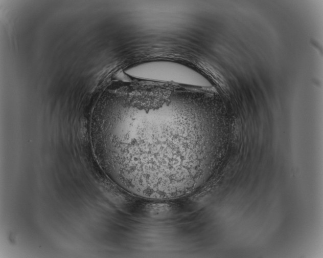 X0000091210361200708301433