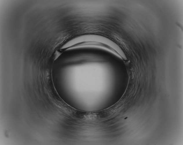 X0000091210362200708301433