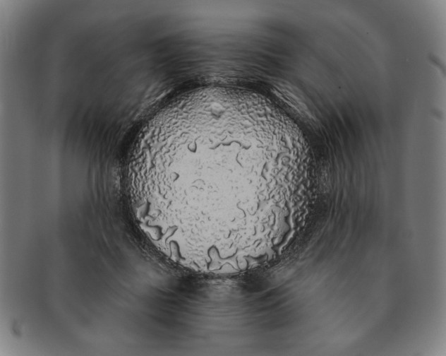 X0000091210363200708301433