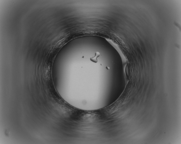 X0000091210364200708301433