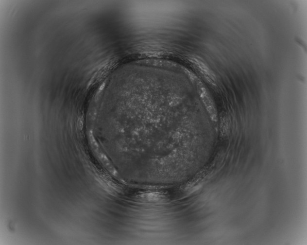 X0000091210365200708301433