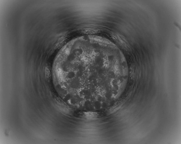 X0000091210371200708301434