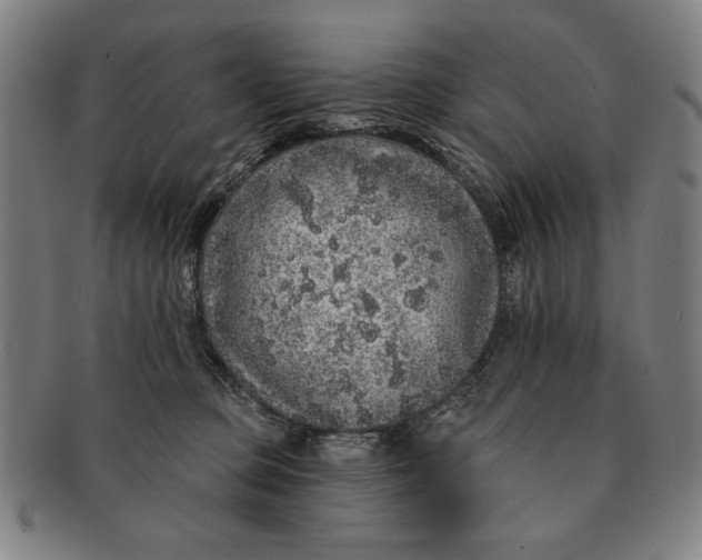 X0000091210373200708301434