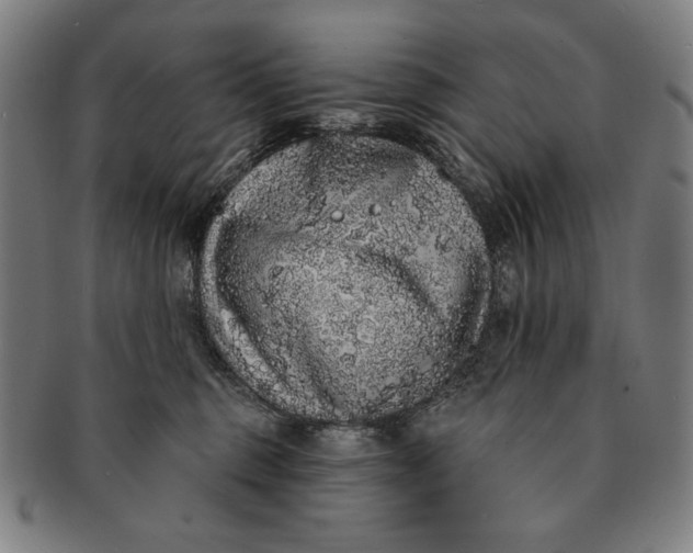 X0000091210375200708301434