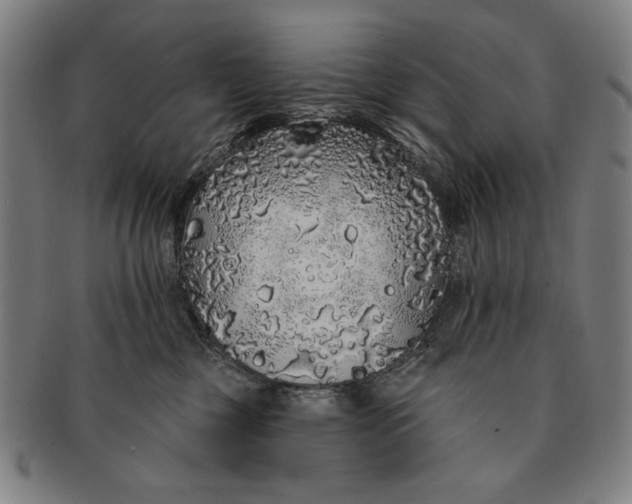 X0000091210377200708301434