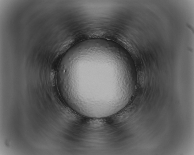 X0000091210378200708301434