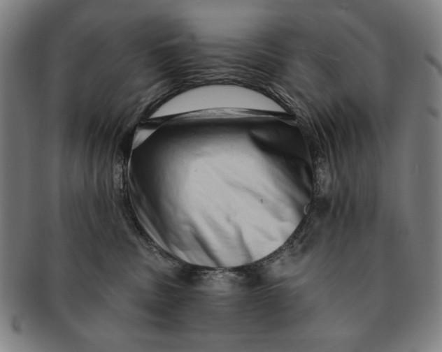 X0000091210379200708301434