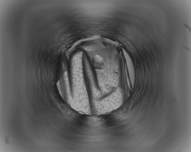 X0000091210380200708301434