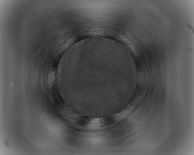 X0000091210382200708301434