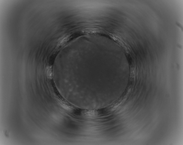 X0000091210383200708301434