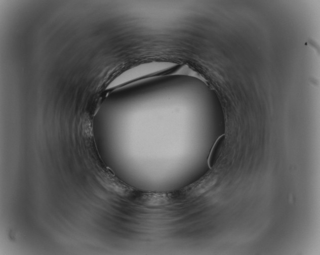 X0000091210384200708301434