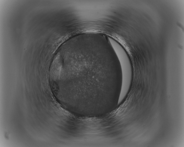 X0000091210385200708301433