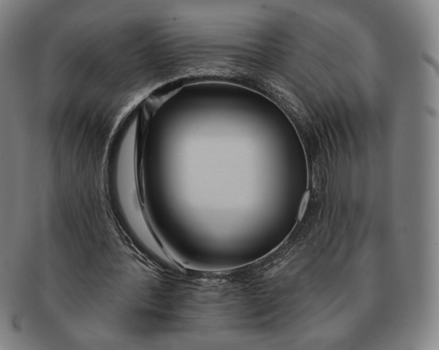 X0000091210388200708301433