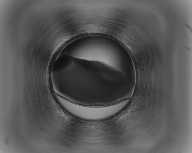 X0000091210391200708301433