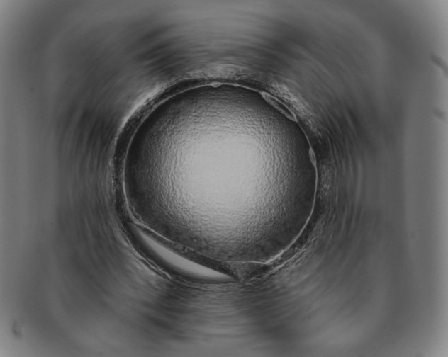 X0000091210392200708301433