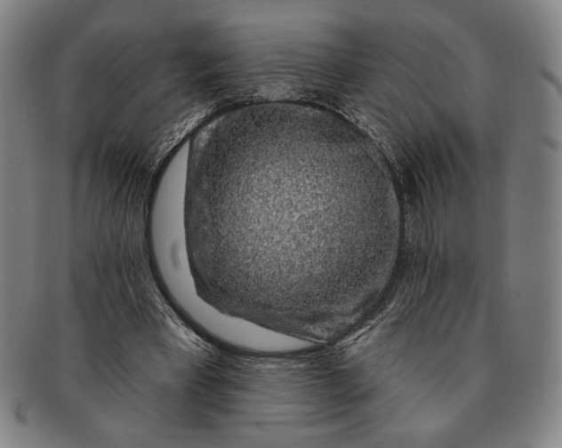 X0000091210393200708301433