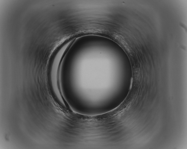 X0000091210395200708301433