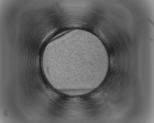 X0000091210396200708301433