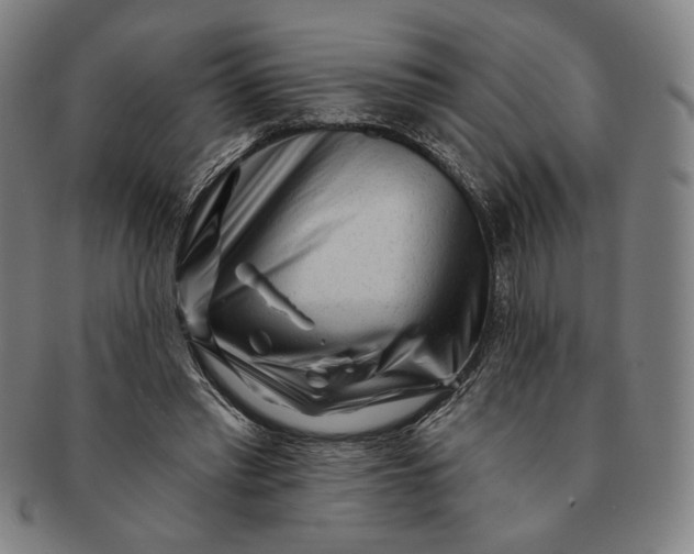 X0000091210397200708301433