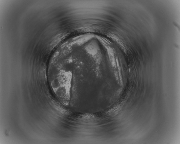 X0000091210398200708301433