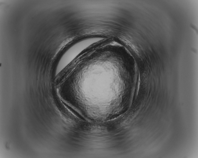 X0000091210400200708301433