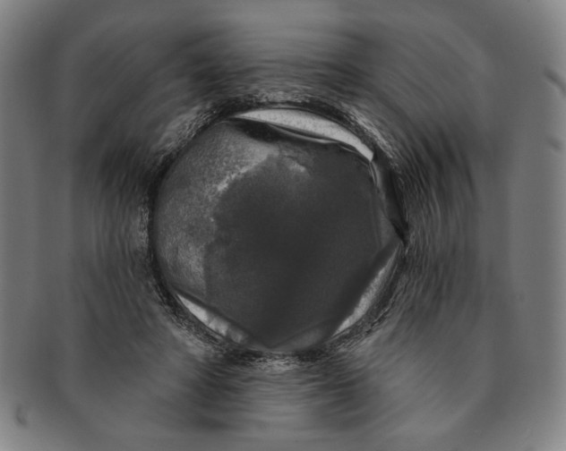 X0000091210402200708301433