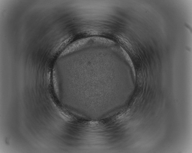 X0000091210406200708301433