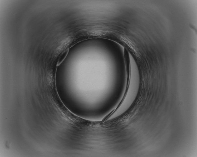 X0000091210407200708301433